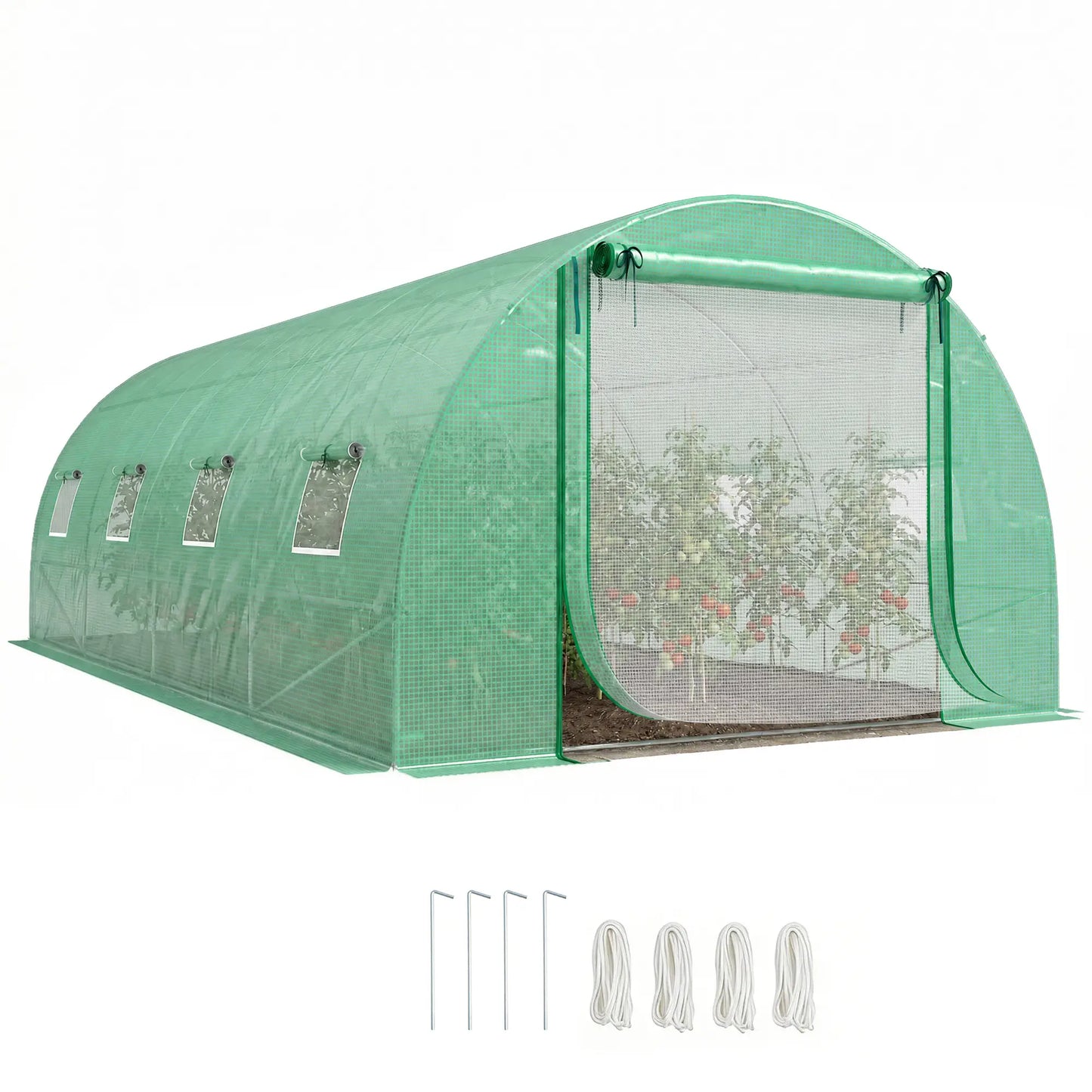 Walk-in Tunnel Greenhouse, 20'x10'x7', PE Cover, Mesh Door, Green Tunnel Greenhouses at Gallery Canada