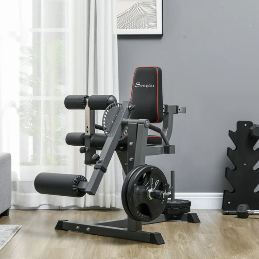 Leg Extension Machine Adjustable Leg Extension and Curl Machine with Plate Loaded for Leg Extension Strength Training Equipment Black at Gallery Canada