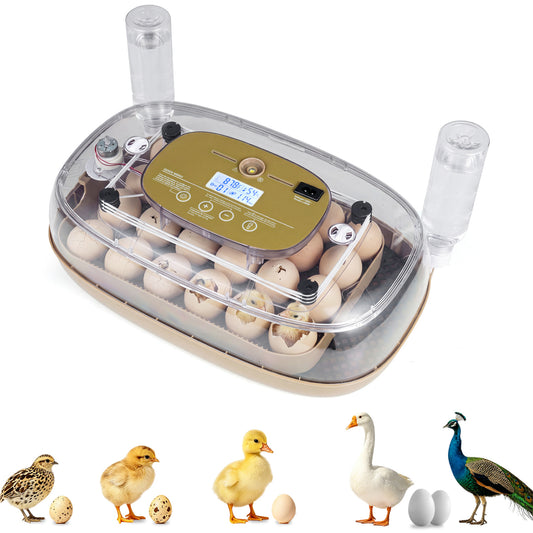 Egg Incubator With Temp & Humidity Control Chicken Coops Coffee at Gallery Canada