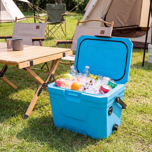 Insulated Portable Cooler, Hard Shell Ice Chest, Blue Coolers Blue at Gallery Canada