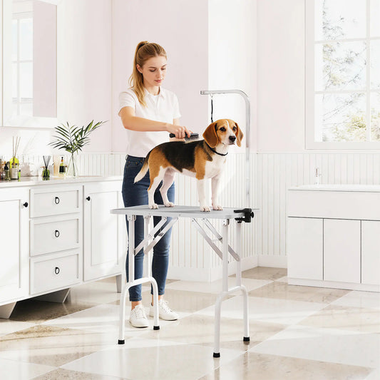 Foldable Pet Grooming Table, Adjustable Arm, Non-Slip Surface, Grey Dog Grooming Tables Grey, White at Gallery Canada