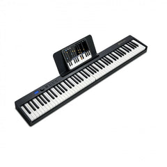 Pianos & Keyboards Image