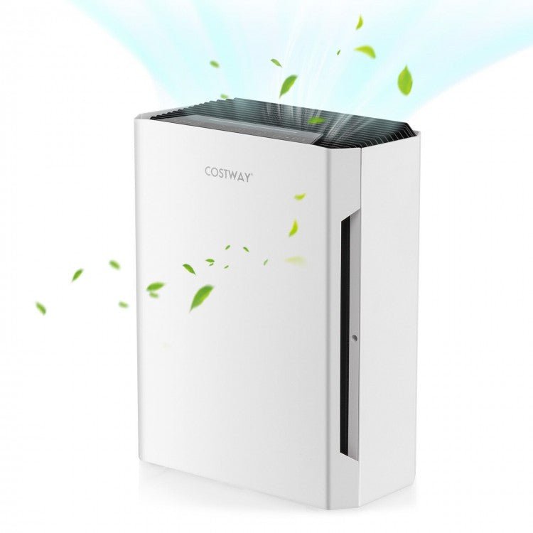 Air Purifiers