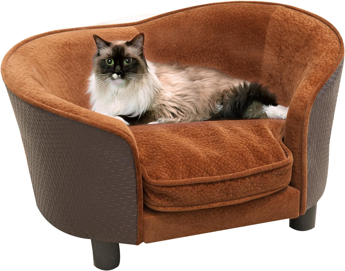 Cat Beds