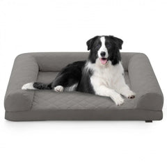 Dog Supplies Image