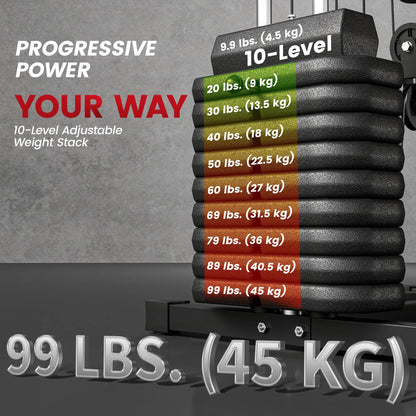 Multi-Exercise Home Gym, 99lbs Weight Stack, Full Body Workout Power Towers at Gallery Canada