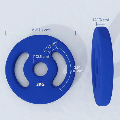 2 x 6.6lbs Weight Plates, 1" Holes, Easy-Grip Handles, Gym, Home Dumbbells & Barbells at Gallery Canada