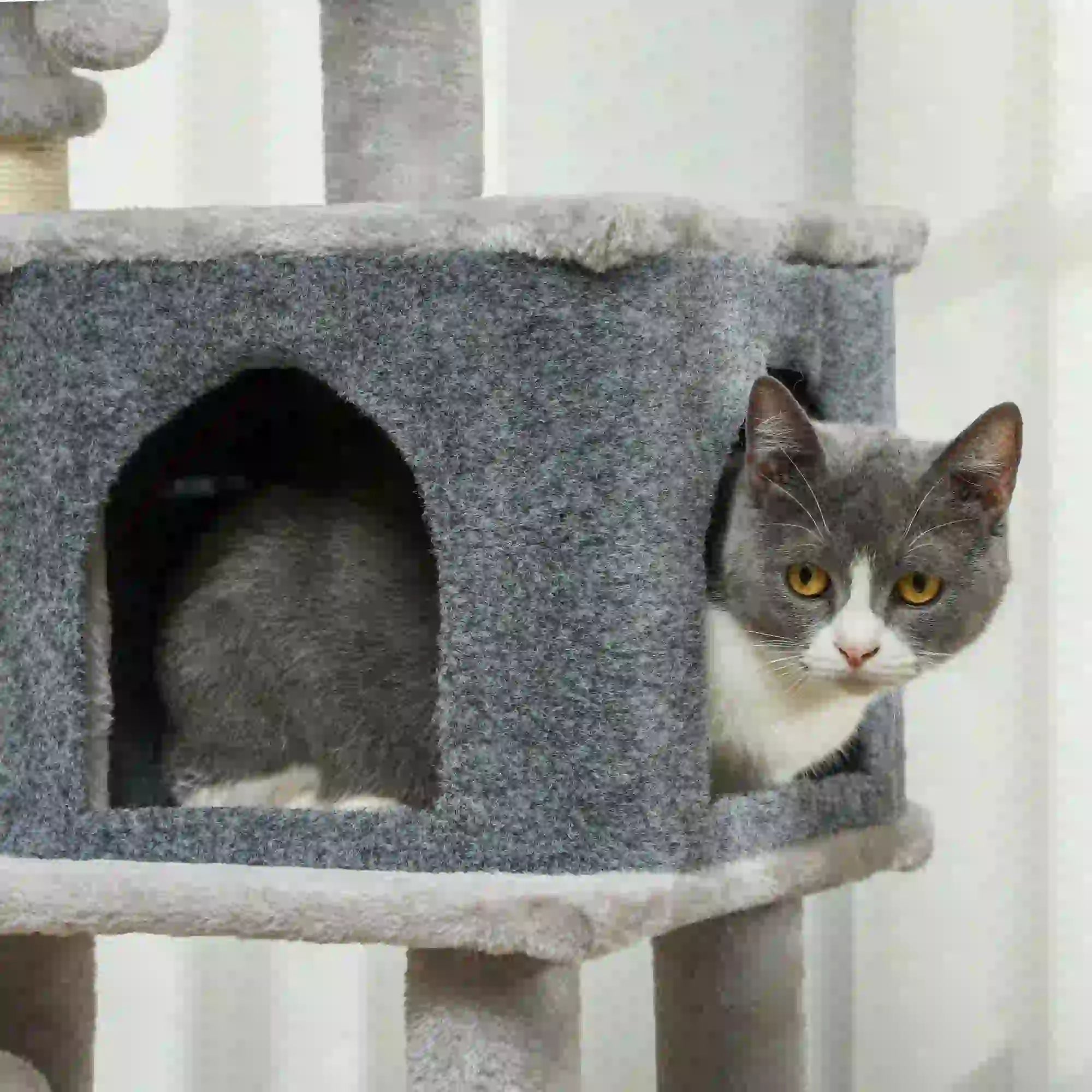 41 Inch Cat Tree, Scratching Posts, Bed, Condo, Grooming Brush Cat Trees at Gallery Canada