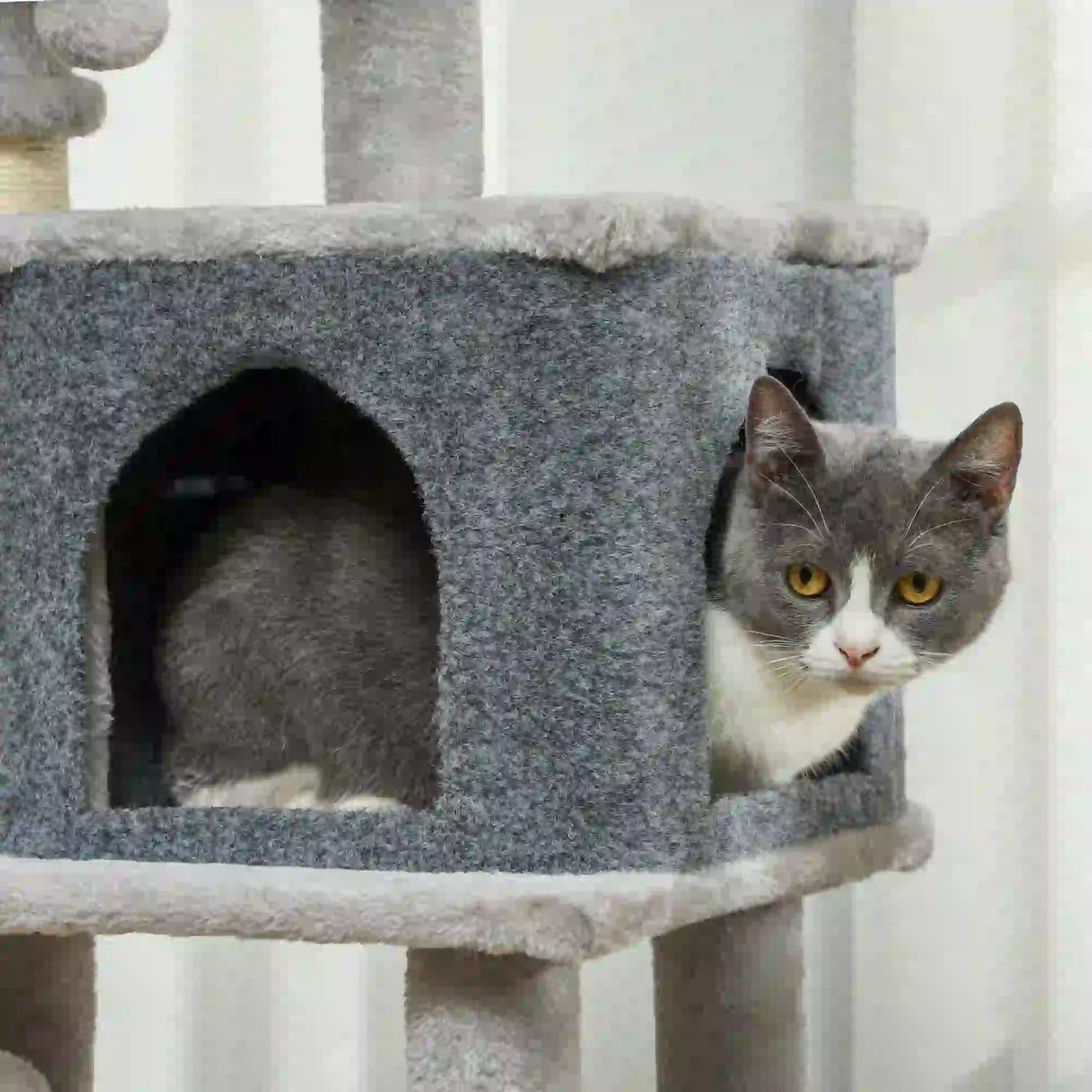 41 Inch Cat Tree, Scratching Posts, Bed, Condo, Grooming Brush Cat Trees at Gallery Canada