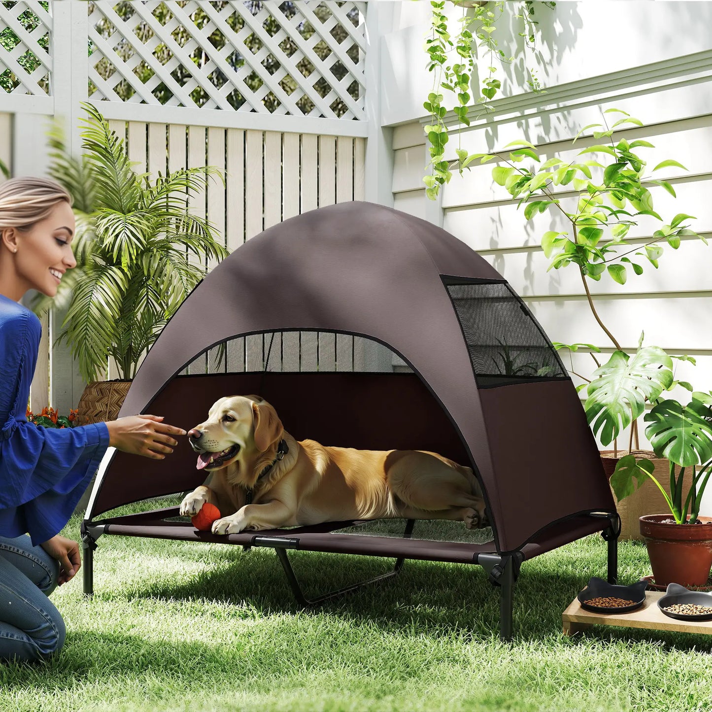 Elevated Dog Bed With Canopy, Washable Mesh Steel Frame, 41.7" x 29.9" x 39", Coffee Elevated Dog Beds at Gallery Canada