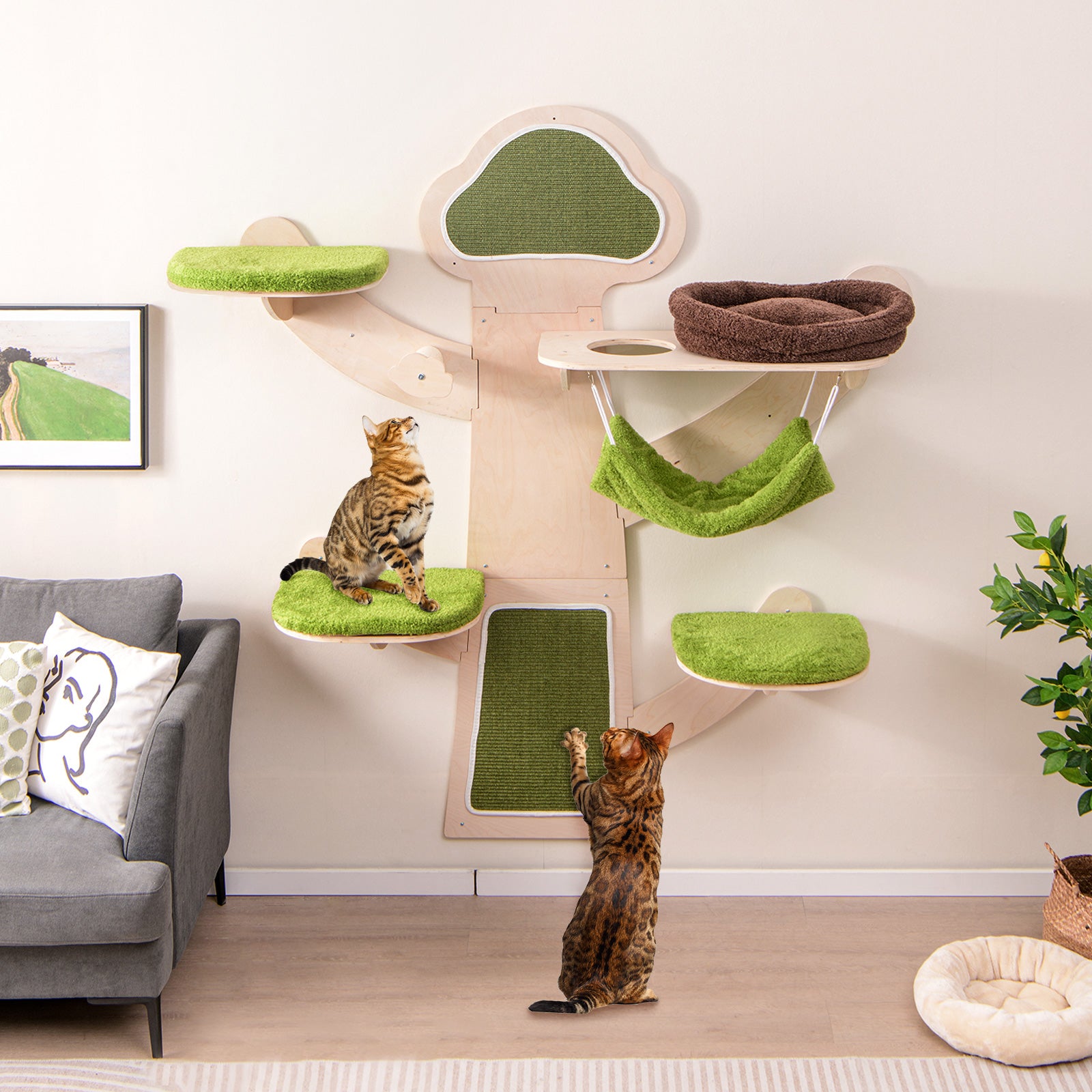 Wall Mounted Cat Tower Shelves With Bed, Green Cat Trees Condos & Scratchers at Gallery Canada