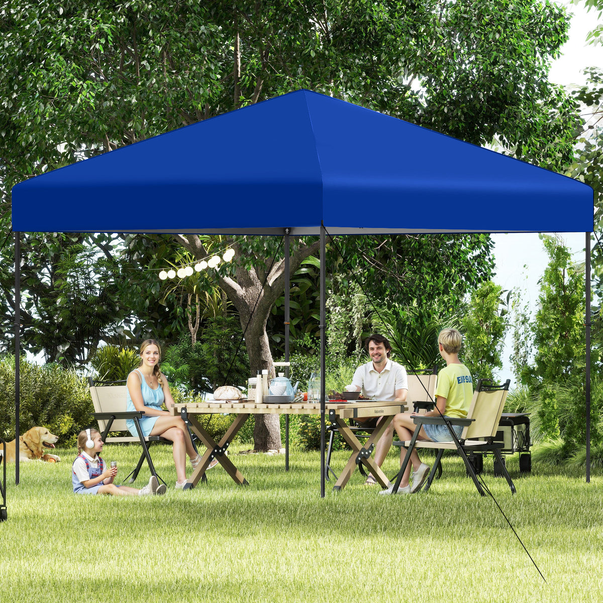 10 X 10 Feet Pop Up Canopy Tent, With Carrying Bag, Blue Canopies at Gallery Canada