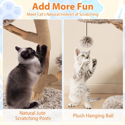 Cat Tree, Solid Pear Wood, Perch, Natural Jute Scratching Posts, Brown Cat Trees Condos & Scratchers at Gallery Canada