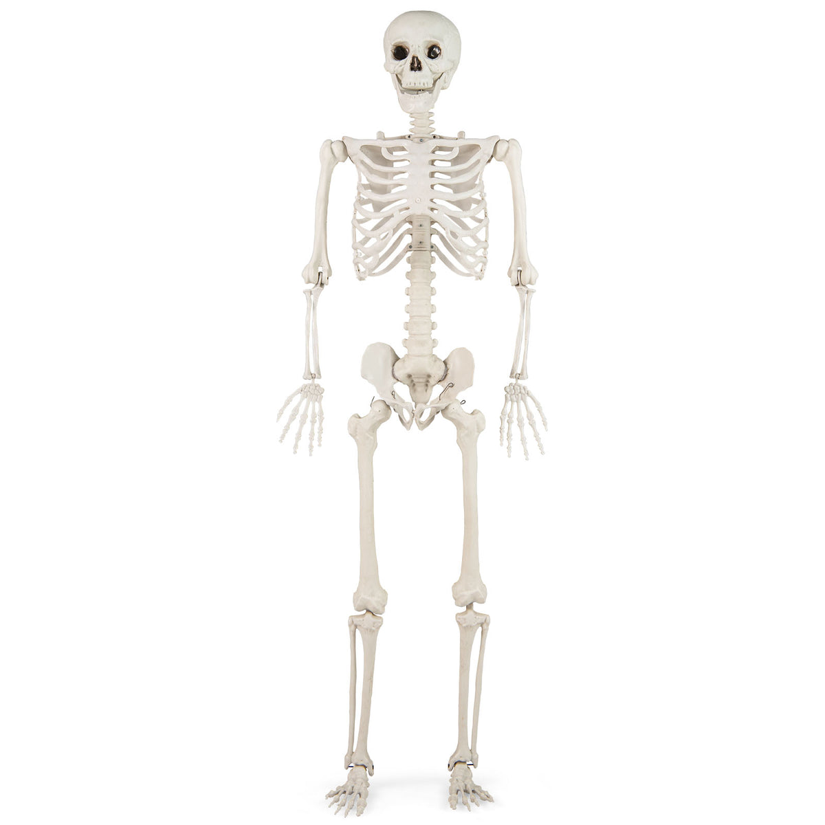 5.4 Ft Halloween Skeleton Decoration, White Halloween White at Gallery Canada