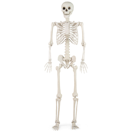 5.4 Ft Halloween Skeleton Decoration, White Halloween White at Gallery Canada