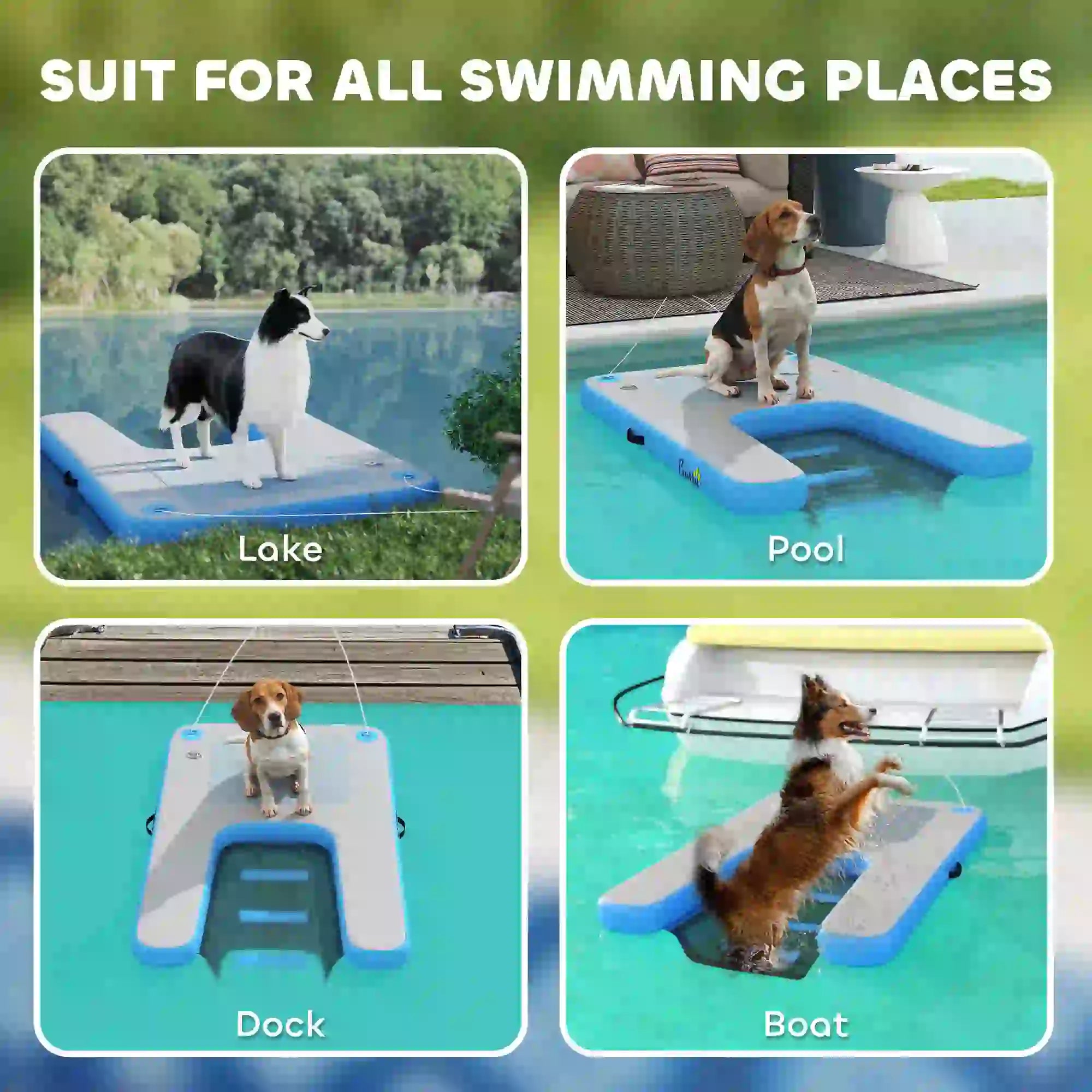 Floating Pet Boat Ramp, Up to 300 lbs, for Pool, Lake, Dock Dog Stairs at Gallery Canada