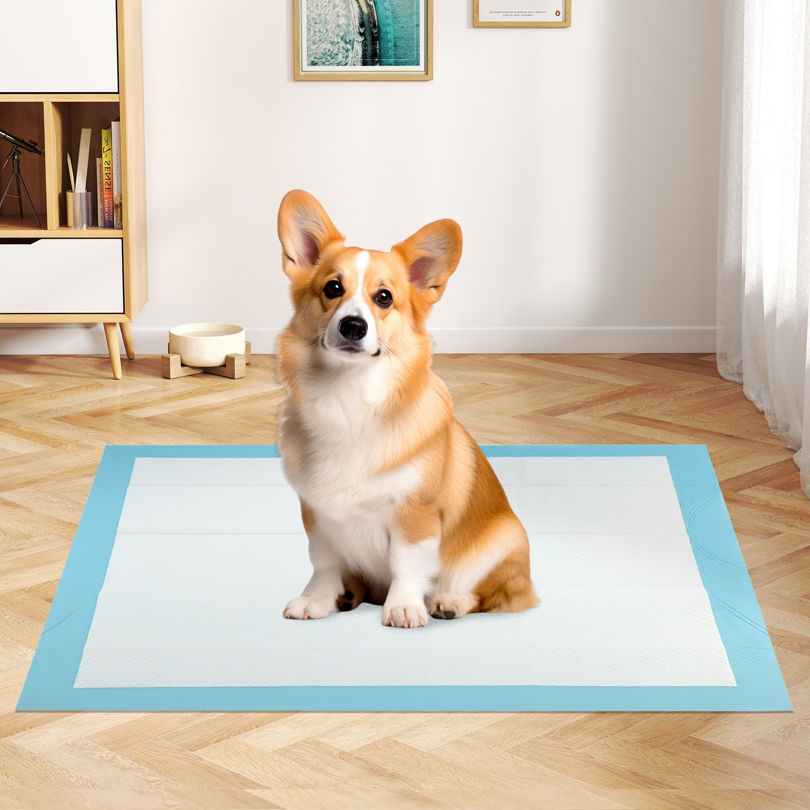 150 Pieces, 24 x 36 Inch Pet Pad, Light Blue Dog Supplies at Gallery Canada