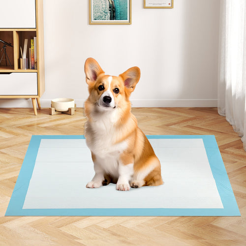 150 Pieces, 24 x 36 Inch Pet Pad, Light Blue