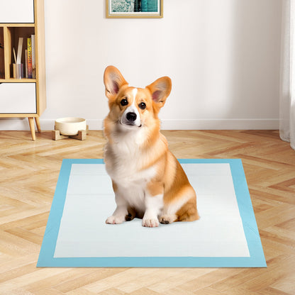 30 x 30 Inch Pet Pee Pad, 150 Pieces, Light Blue Dog Supplies at Gallery Canada