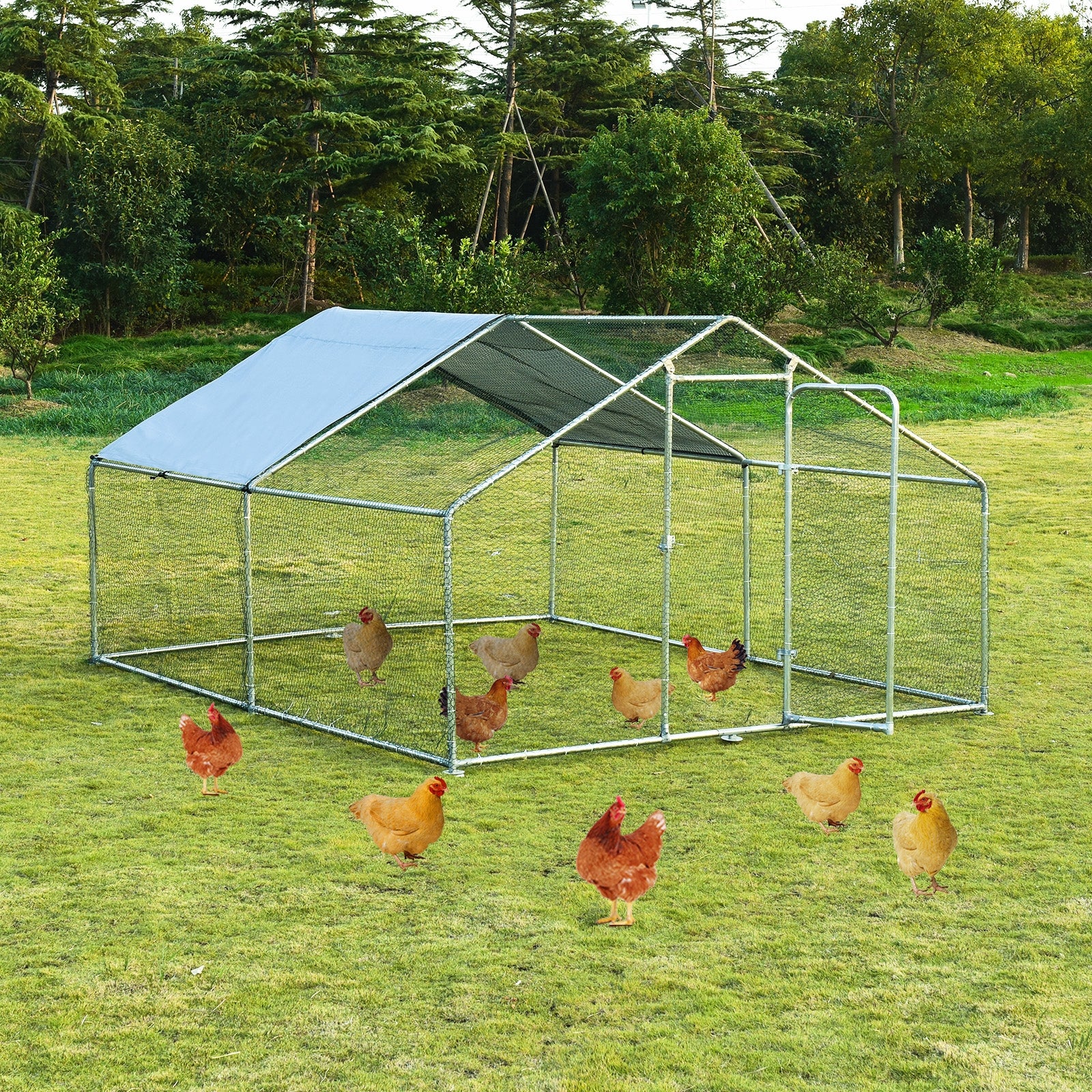 Large Walk In Shade Cage Chicken Coop, M, Silver Chicken Coops at Gallery Canada