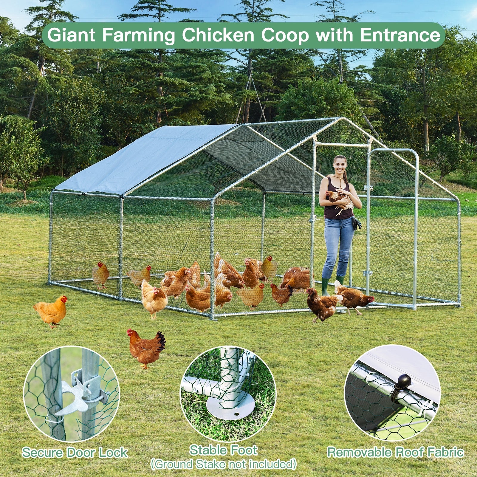 Large Walk In Shade Cage Chicken Coop, M, Silver Chicken Coops at Gallery Canada