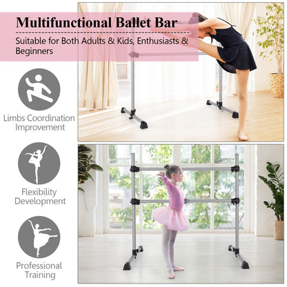 4 Feet Portable Double Freestanding Barre, Silver Yoga Accessories at Gallery Canada