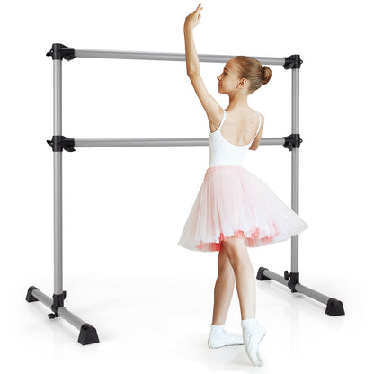 4 Feet Portable Double Freestanding Barre, Silver Yoga Accessories at Gallery Canada