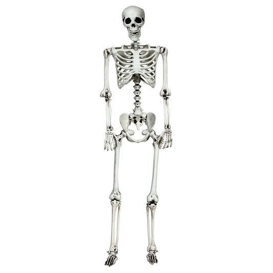 5.4 Feet Halloween Skeleton, Life Size, Realistic Full Body, White Halloween White at Gallery Canada