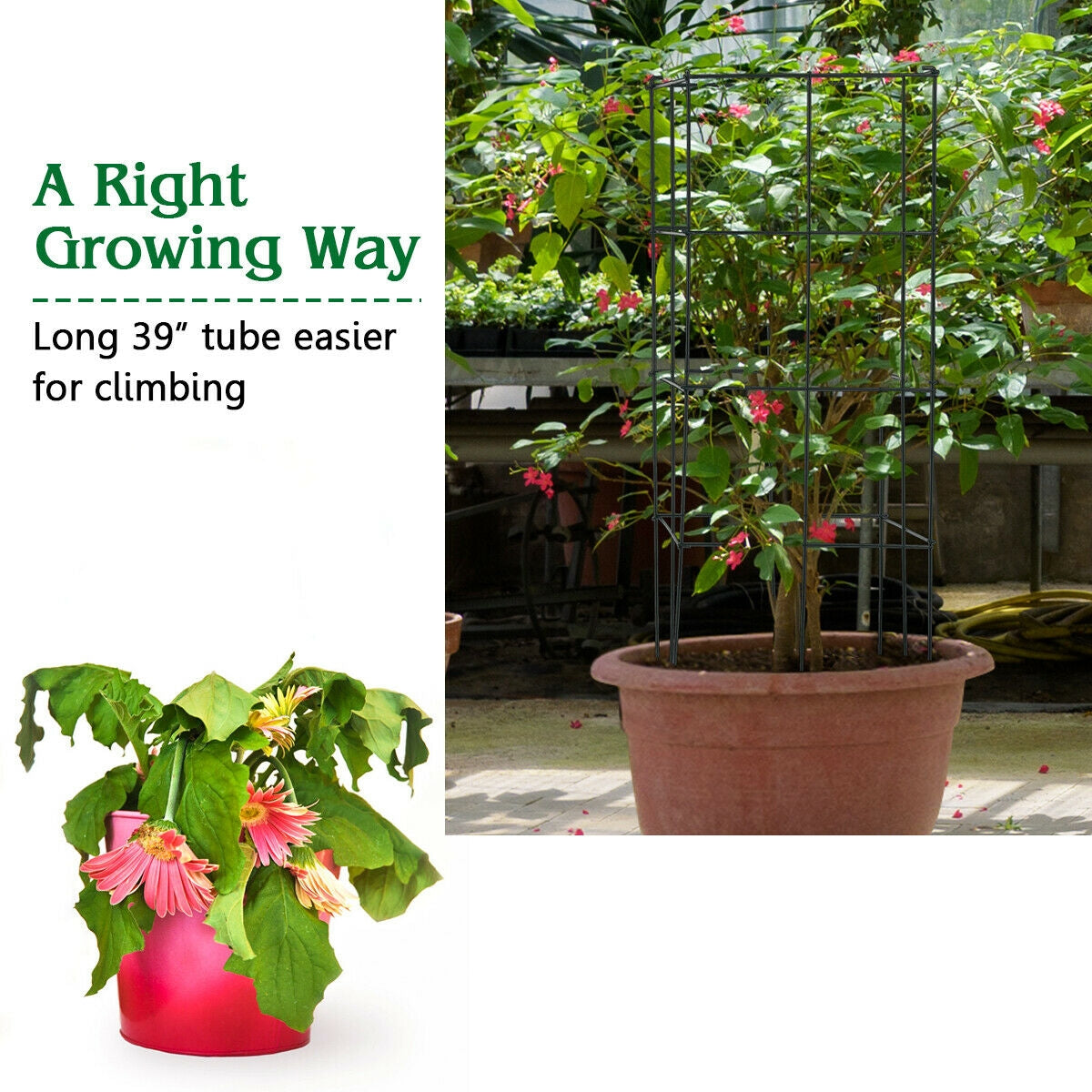 4 Pack Garden Trellis For Climbing Plants, Black Plant Stands at Gallery Canada