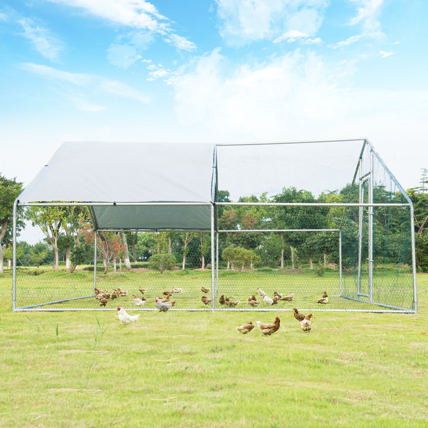 13 x 13 Feet Walk-In Chicken Coop, Waterproof Cover, White Chicken Coops at Gallery Canada