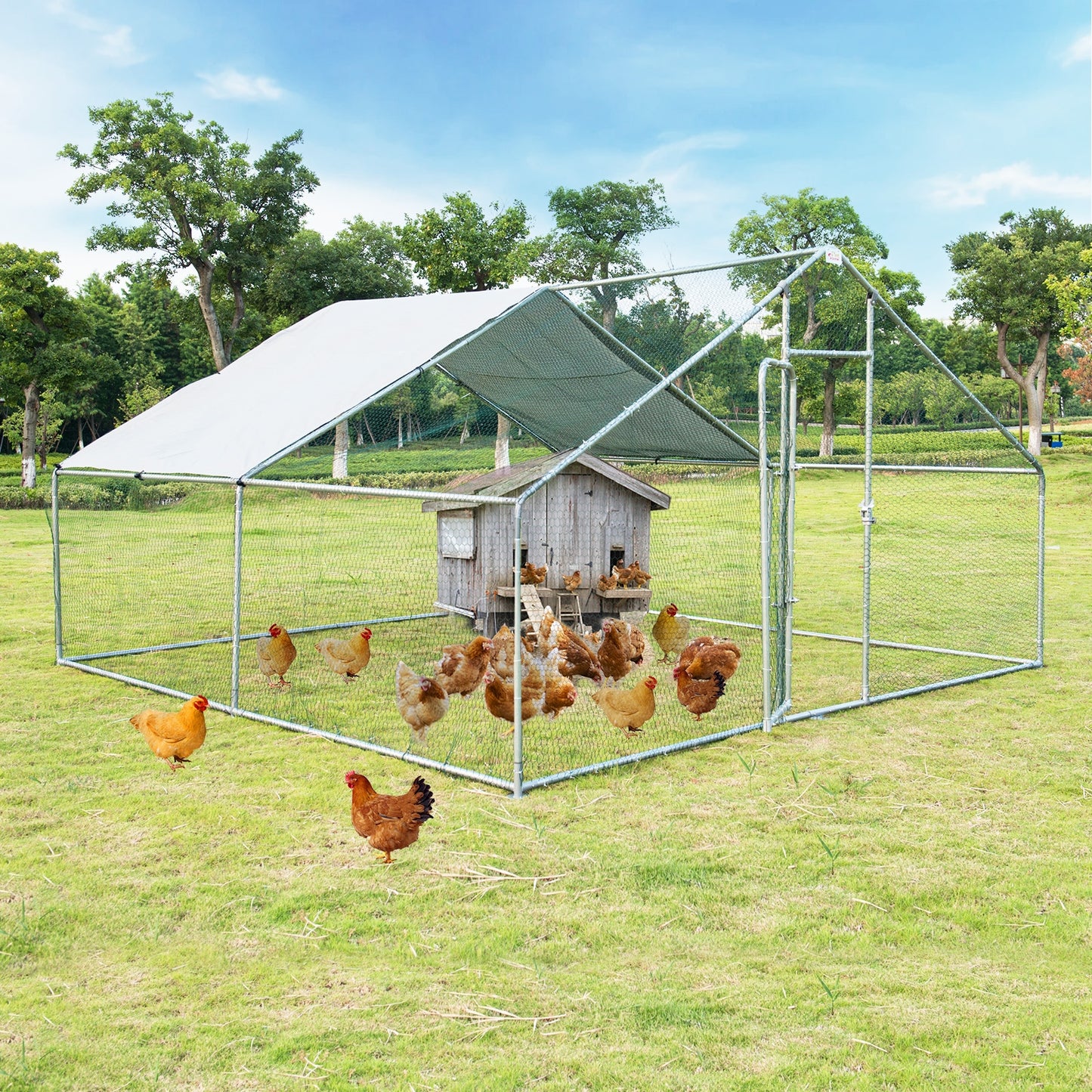13 x 13 Feet Walk-In Chicken Coop, Waterproof Cover, White Chicken Coops at Gallery Canada
