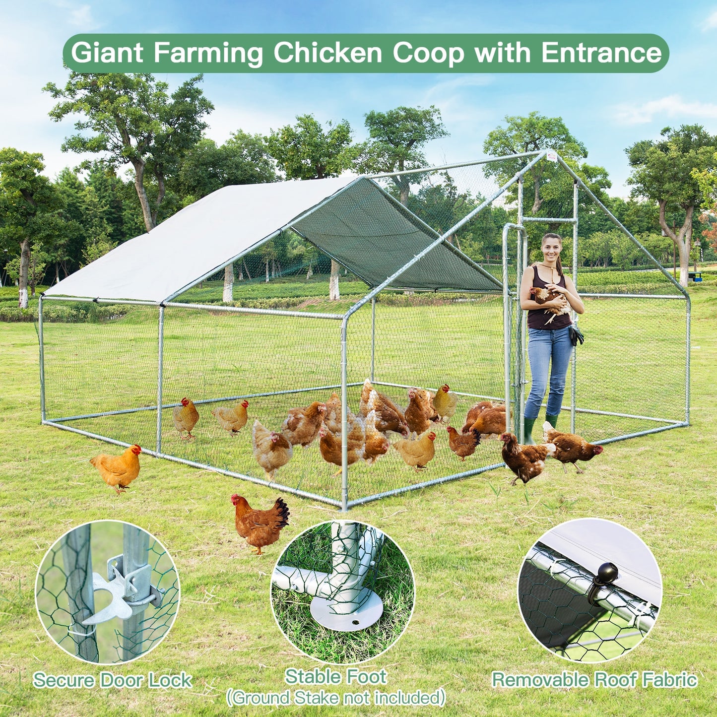 13 x 13 Feet Walk-In Chicken Coop, Waterproof Cover, White Chicken Coops at Gallery Canada