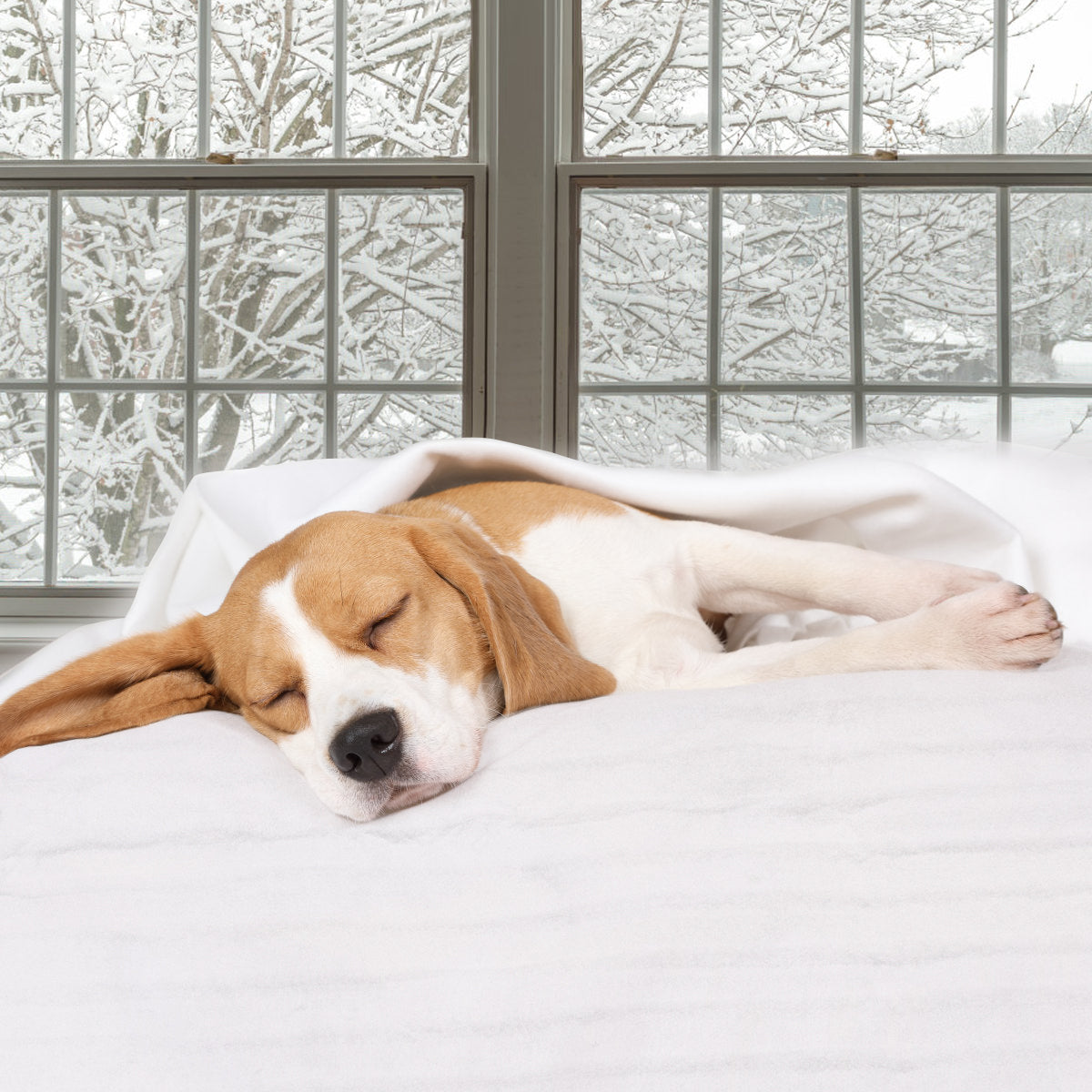 Digital Auto Overheat Protection Massage Table Warmer Bedding at Gallery Canada