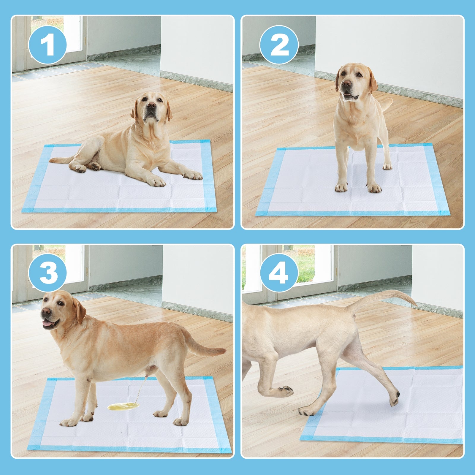 100 pieces 30 x 36 inch Pet Wee Pee Piddle Pad , Light Blue Dog Supplies at Gallery Canada