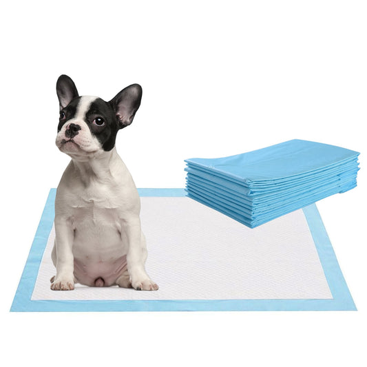 200 Pet Pee Pads, 24 x 24 Inch, Light Blue Dog Supplies Light Blue at Gallery Canada