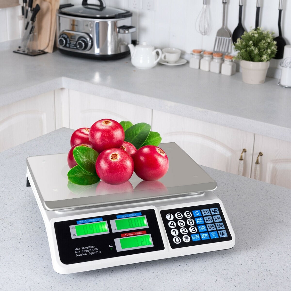 Electronic Price Computing Scale, 66 lbs, LCD Screen Display, Silver Kitchen Tools at Gallery Canada