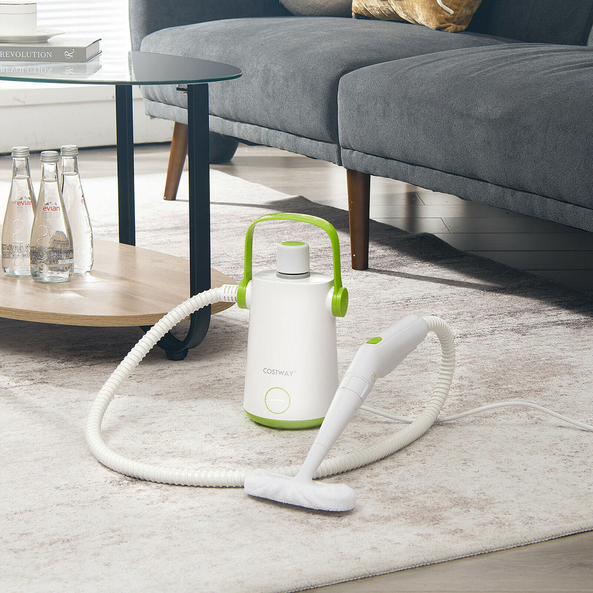 1000W Portable Hand-Held Steam Cleaner, 10 Accessories, Green Vacuums & Cleaners at Gallery Canada