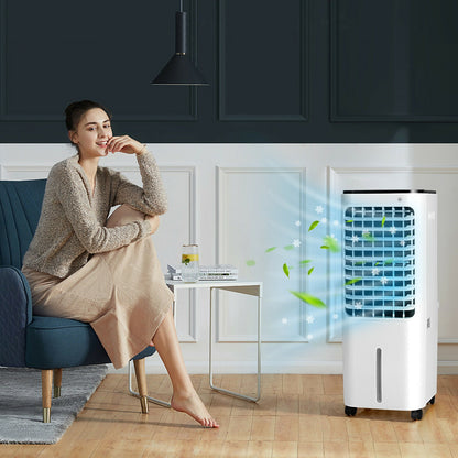 4-In-1 Evaporative Air Cooler, 12L Tank, 4 Ice Boxes, White Air Coolers at Gallery Canada