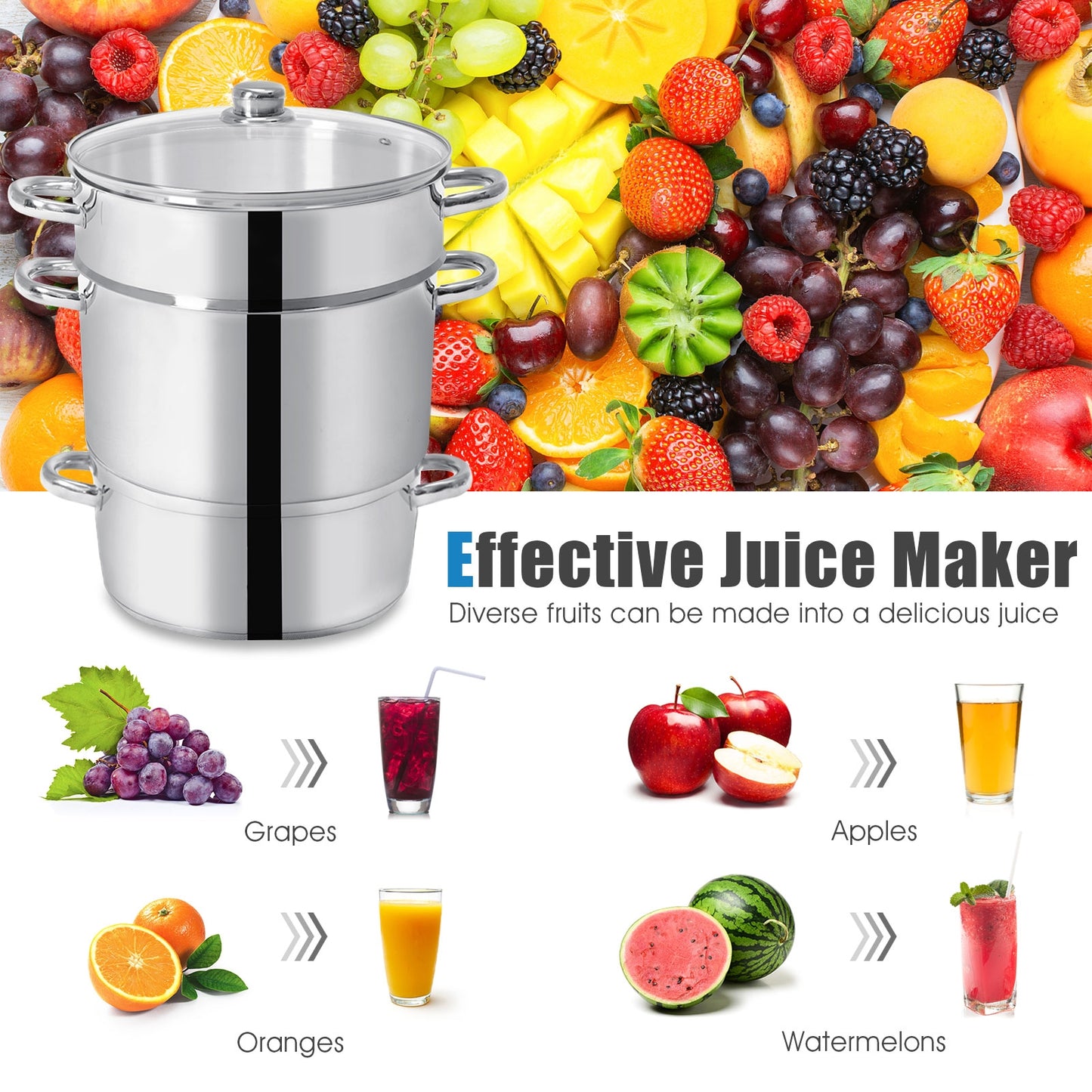 11-Quart Stainless Steel Fruit Juicer Steamer, Silver Food Steamers at Gallery Canada