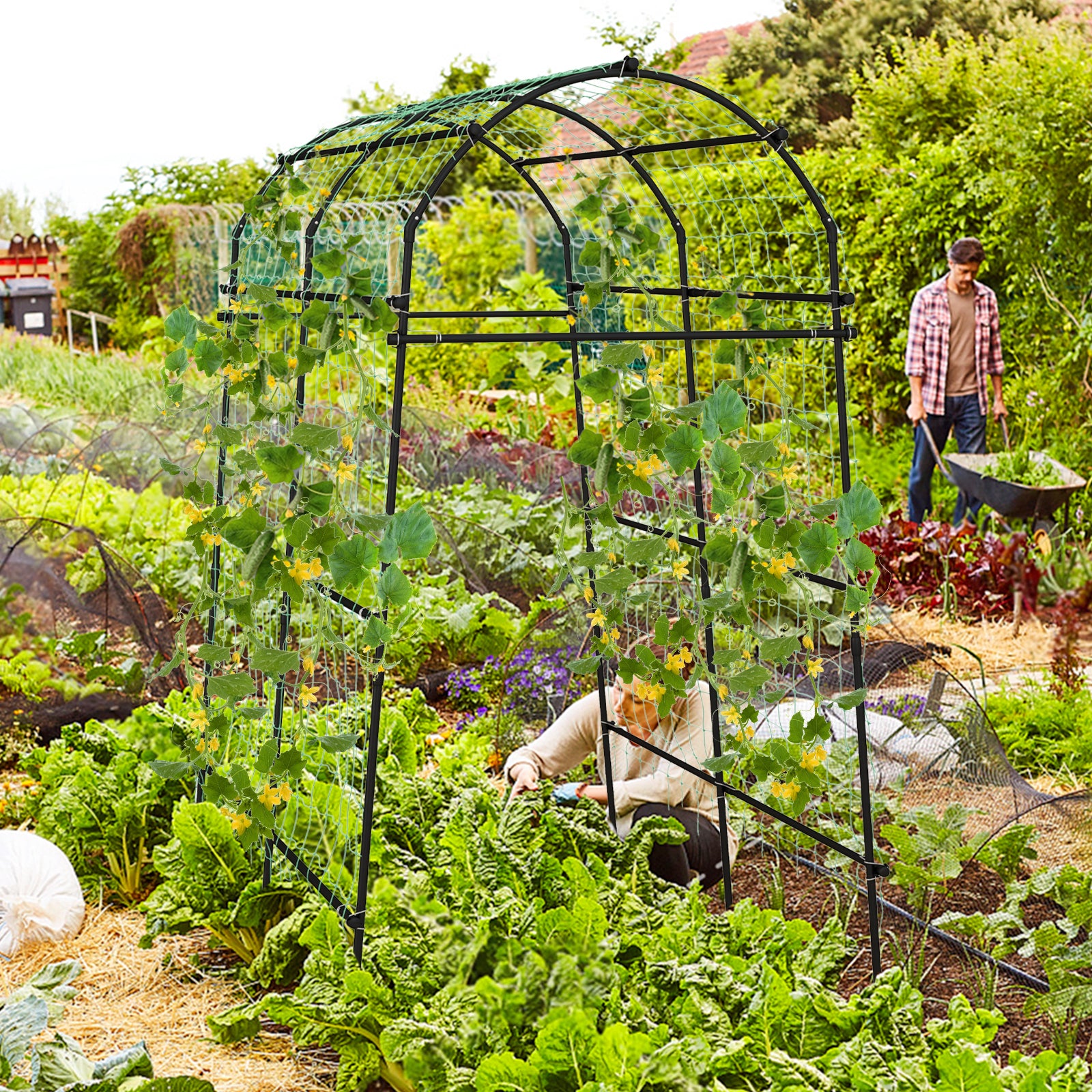 7.5 Feet Garden Arch Trellis, PE Coated Metal, Black Outdoor Decor at Gallery Canada