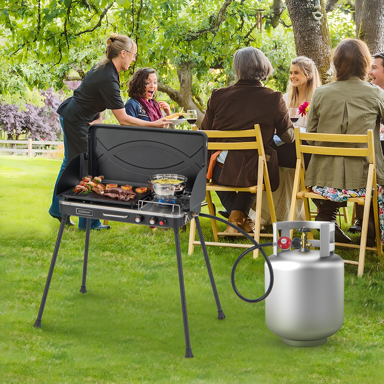 2-In-1 Gas Camping Grill And Stove With Detachable Legs, Black Outdoor Grills at Gallery Canada