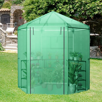 Hexagonal Walk-In Greenhouse, PE Cover, Metal Frame, Green Greenhouses at Gallery Canada