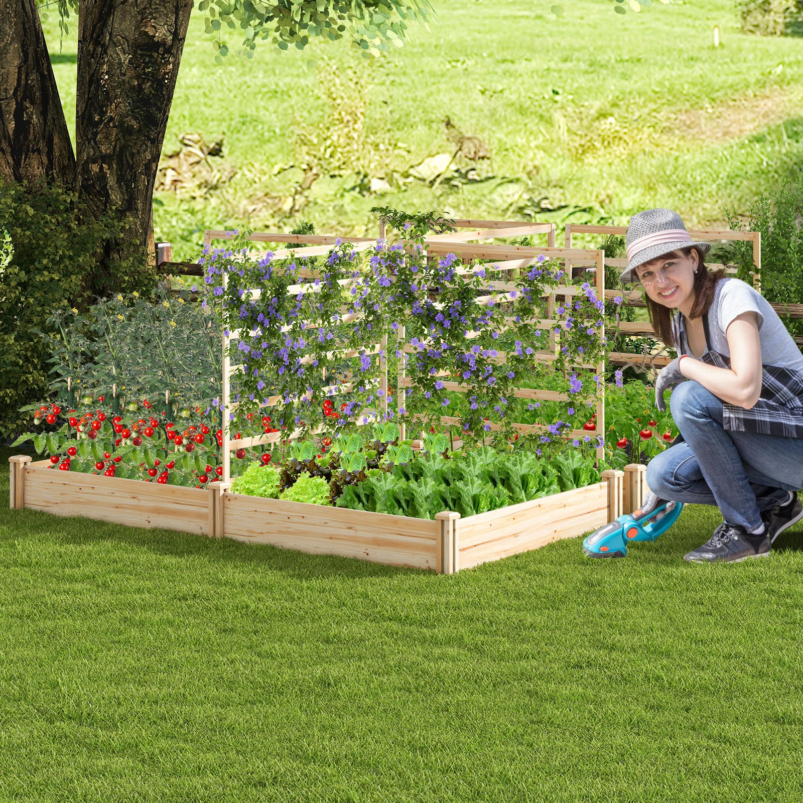 Raised Garden Bed, 2 Planter Boxes, 3 Trellis, Natural Raised Garden Beds at Gallery Canada