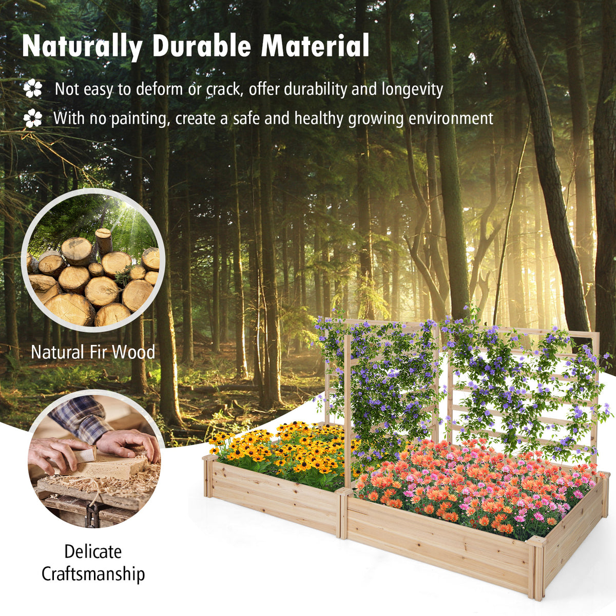 Raised Garden Bed, 2 Planter Boxes, 3 Trellis, Natural Raised Garden Beds at Gallery Canada