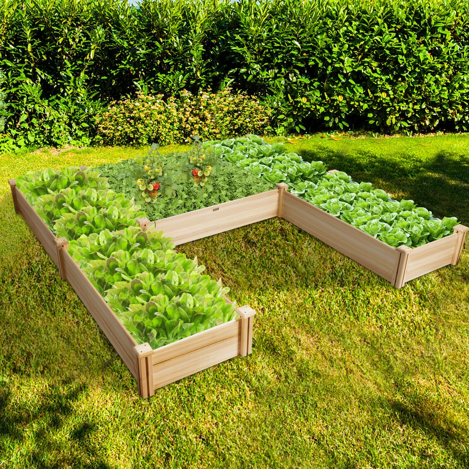 U-Shaped Wooden Garden Raised Bed, Natural Raised Garden Beds at Gallery Canada