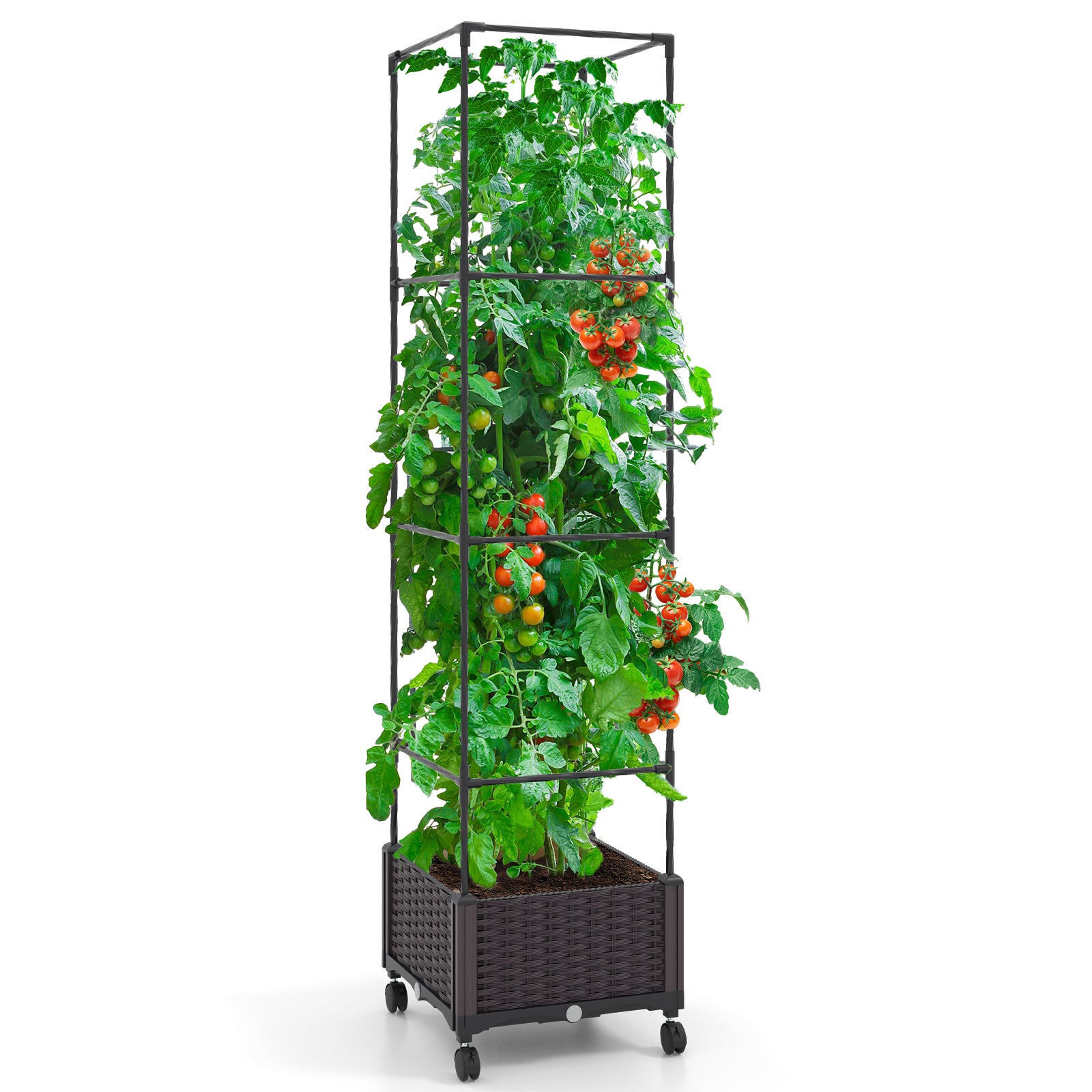67 Inches Raised Garden Bed With Planter Box, Trellis, Black Raised Garden Beds at Gallery Canada