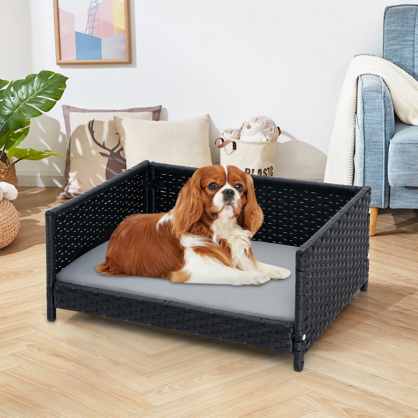 Rattan Dog Bed, Waterproof Cushion, Medium Small, Gray Dog Supplies at Gallery Canada