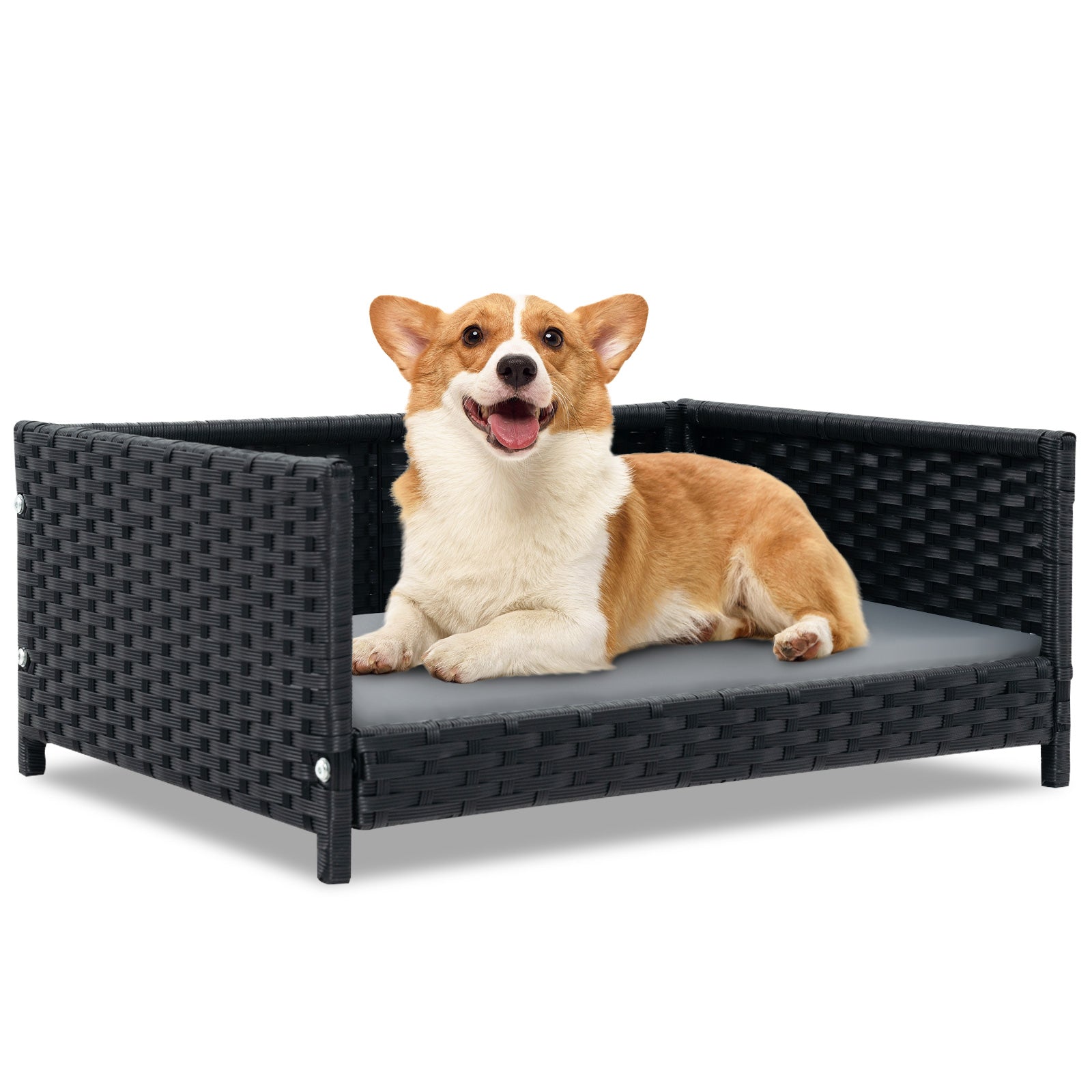 Rattan Dog Bed, Waterproof Cushion, Medium Small, Gray Dog Supplies at Gallery Canada