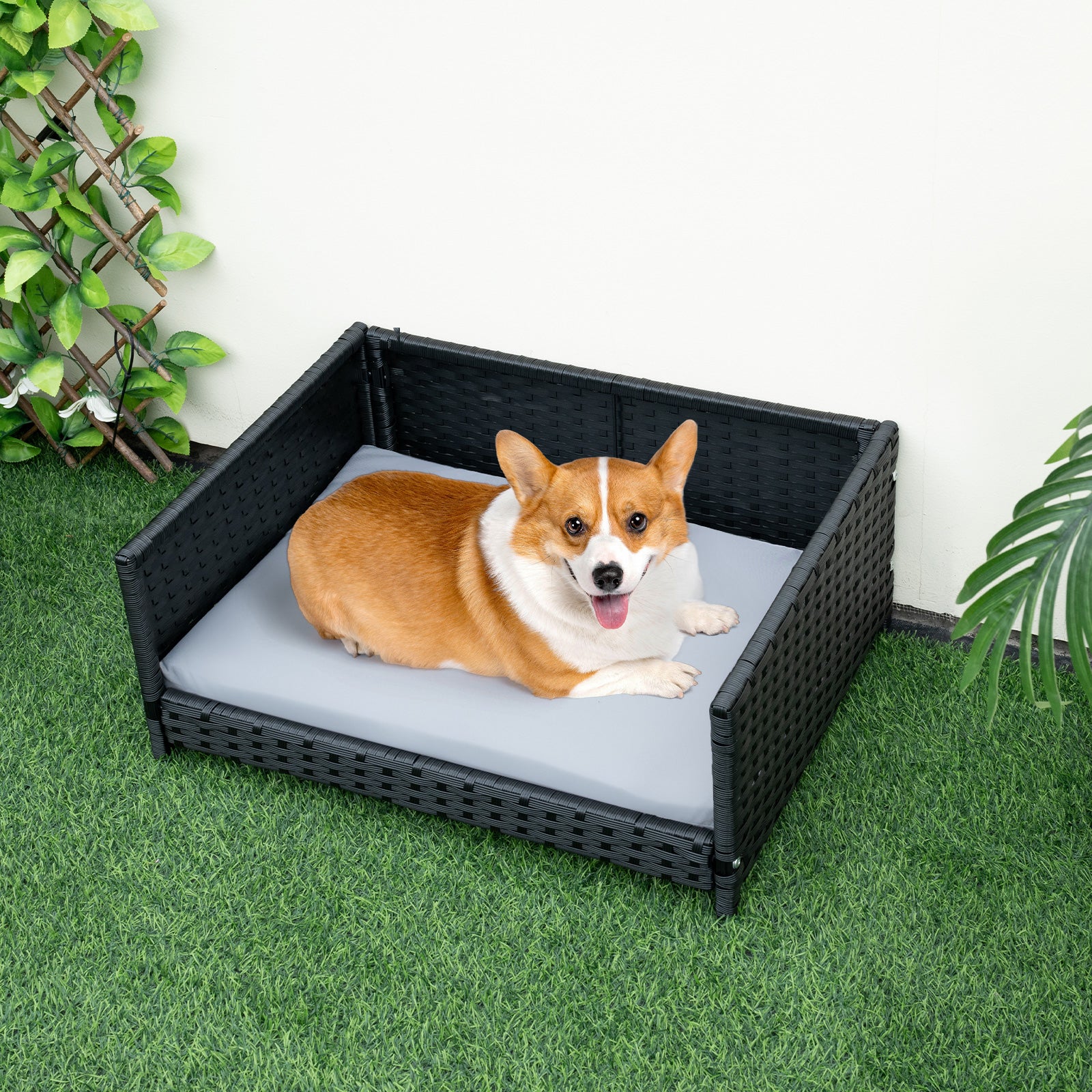 Rattan Dog Bed, Waterproof Cushion, Medium Small, Gray Dog Supplies at Gallery Canada