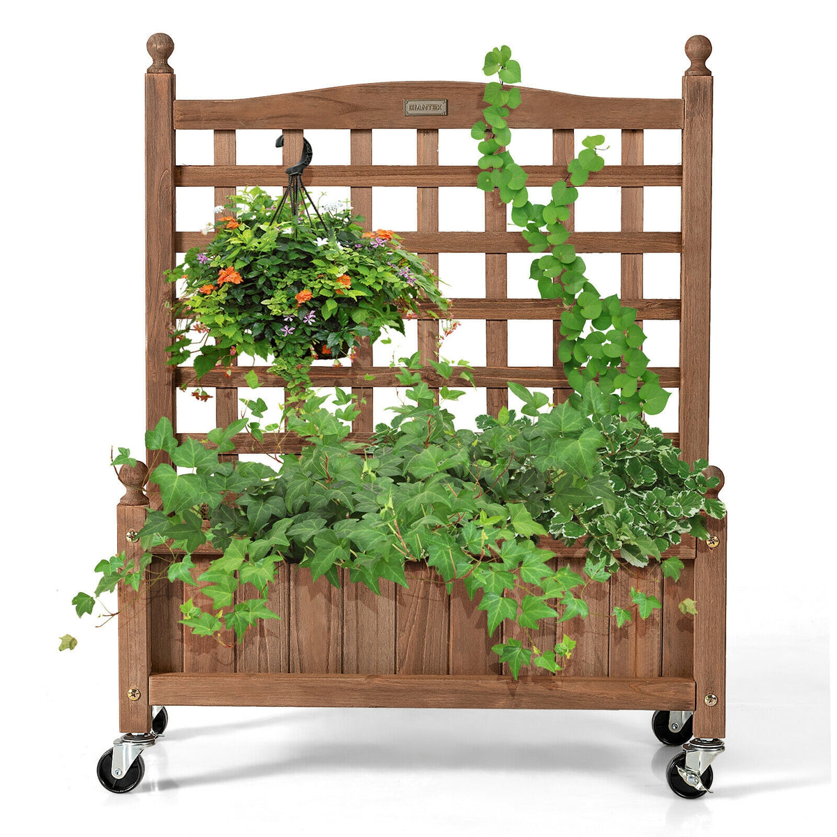 32in Wood Planter Box With Trellis, Raised Bed, Brown Raised Garden Beds at Gallery Canada
